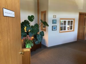 Julia Clowney Office | Holistic Therapy St. Paul - Julia Clowney LICSW