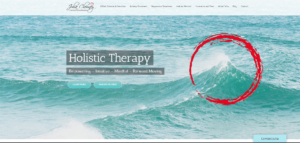 Website | Holistic Therapy St. Paul